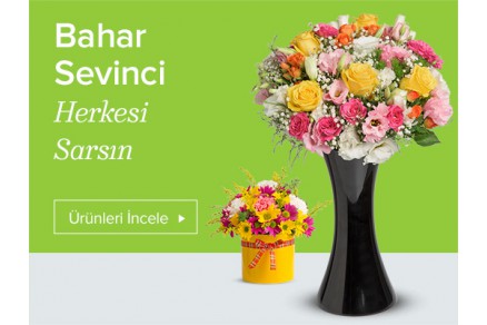 Deneme Blog Yazısı