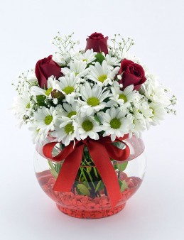  Omuz Bağlama Halka Kemer Tulum