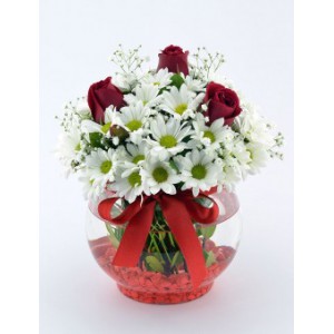  Omuz Bağlama Halka Kemer Tulum