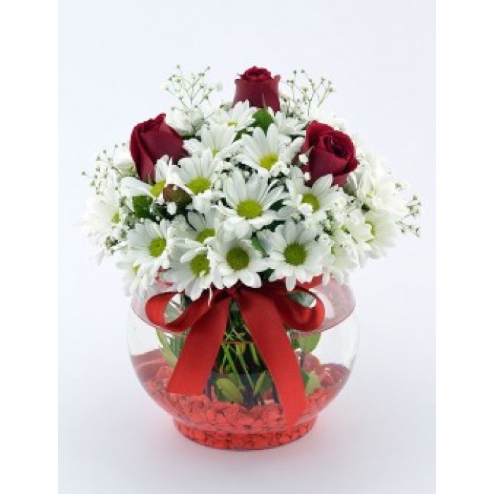  Omuz Bağlama Halka Kemer Tulum