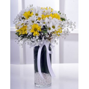  Omuz Bağlama Halka Kemer Tulum