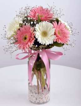  Omuz Bağlama Halka Kemer Tulum