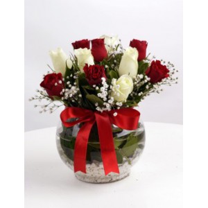  Omuz Bağlama Halka Kemer Tulum