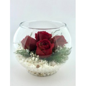  Omuz Bağlama Halka Kemer Tulum