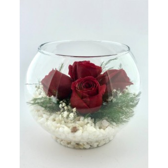  Omuz Bağlama Halka Kemer Tulum