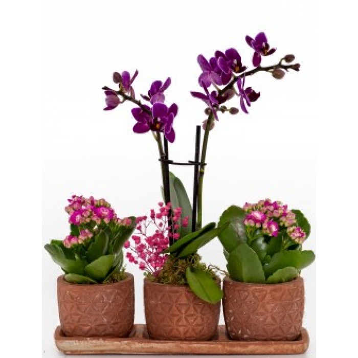  Omuz Bağlama Halka Kemer Tulum