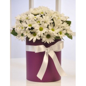  Omuz Bağlama Halka Kemer Tulum