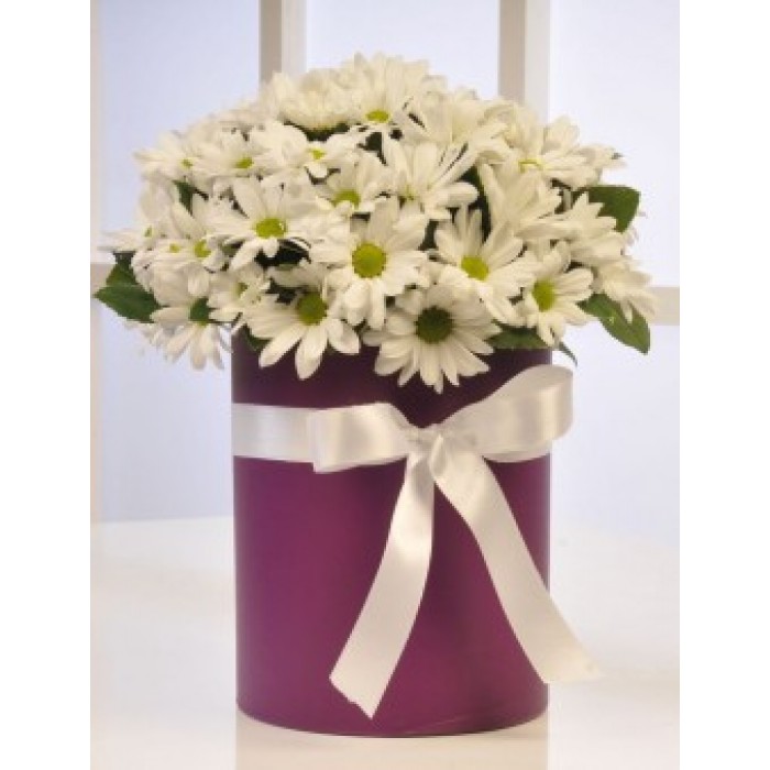  Omuz Bağlama Halka Kemer Tulum