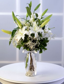  Omuz Bağlama Halka Kemer Tulum