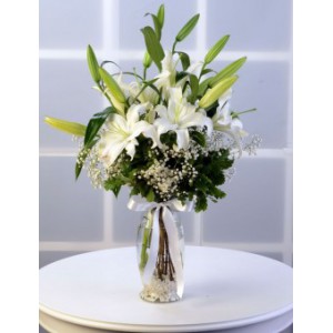  Omuz Bağlama Halka Kemer Tulum