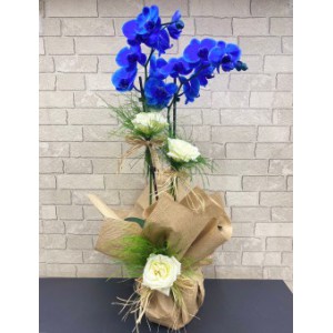  Omuz Bağlama Halka Kemer Tulum