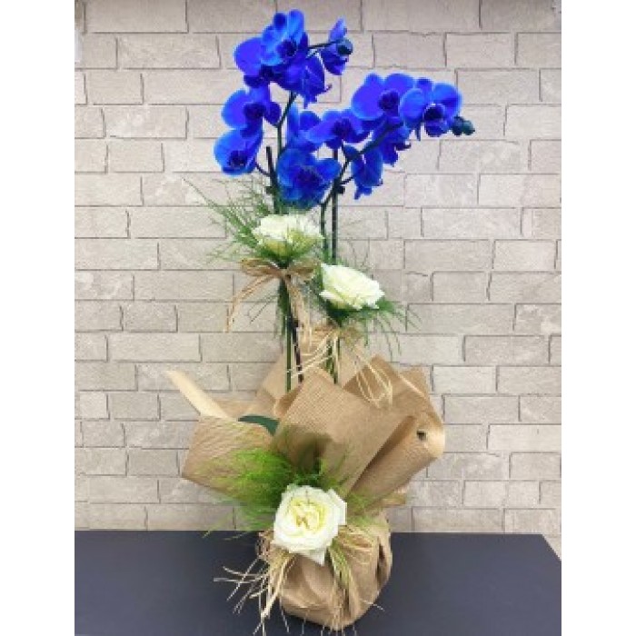  Omuz Bağlama Halka Kemer Tulum