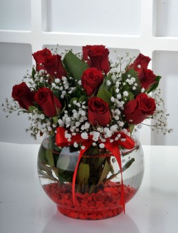  Omuz Bağlama Halka Kemer Tulum