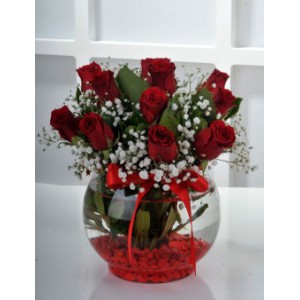  Omuz Bağlama Halka Kemer Tulum