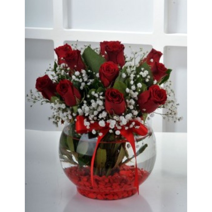  Omuz Bağlama Halka Kemer Tulum