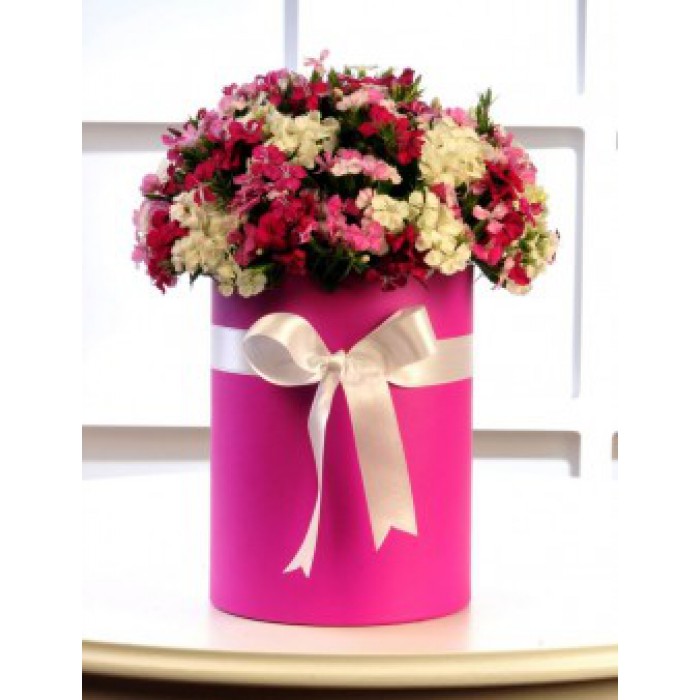  Omuz Bağlama Halka Kemer Tulum